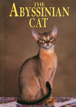 The Abyssinian Cat-Joanne Mattern, 2001_2